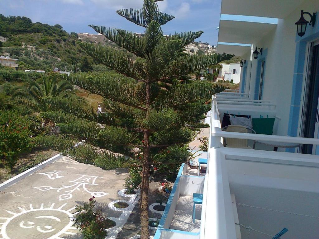 Dionysia Apartments เคฟาลอส ภายนอก รูปภาพ