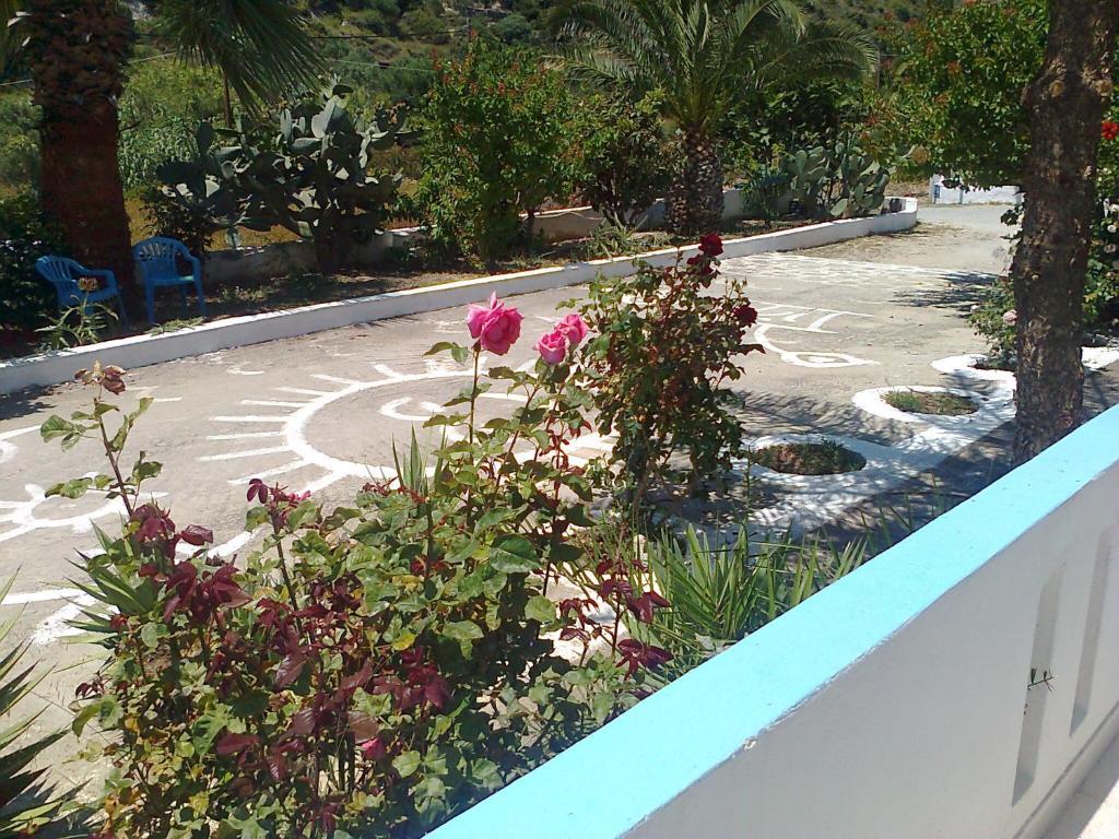 Dionysia Apartments เคฟาลอส ภายนอก รูปภาพ