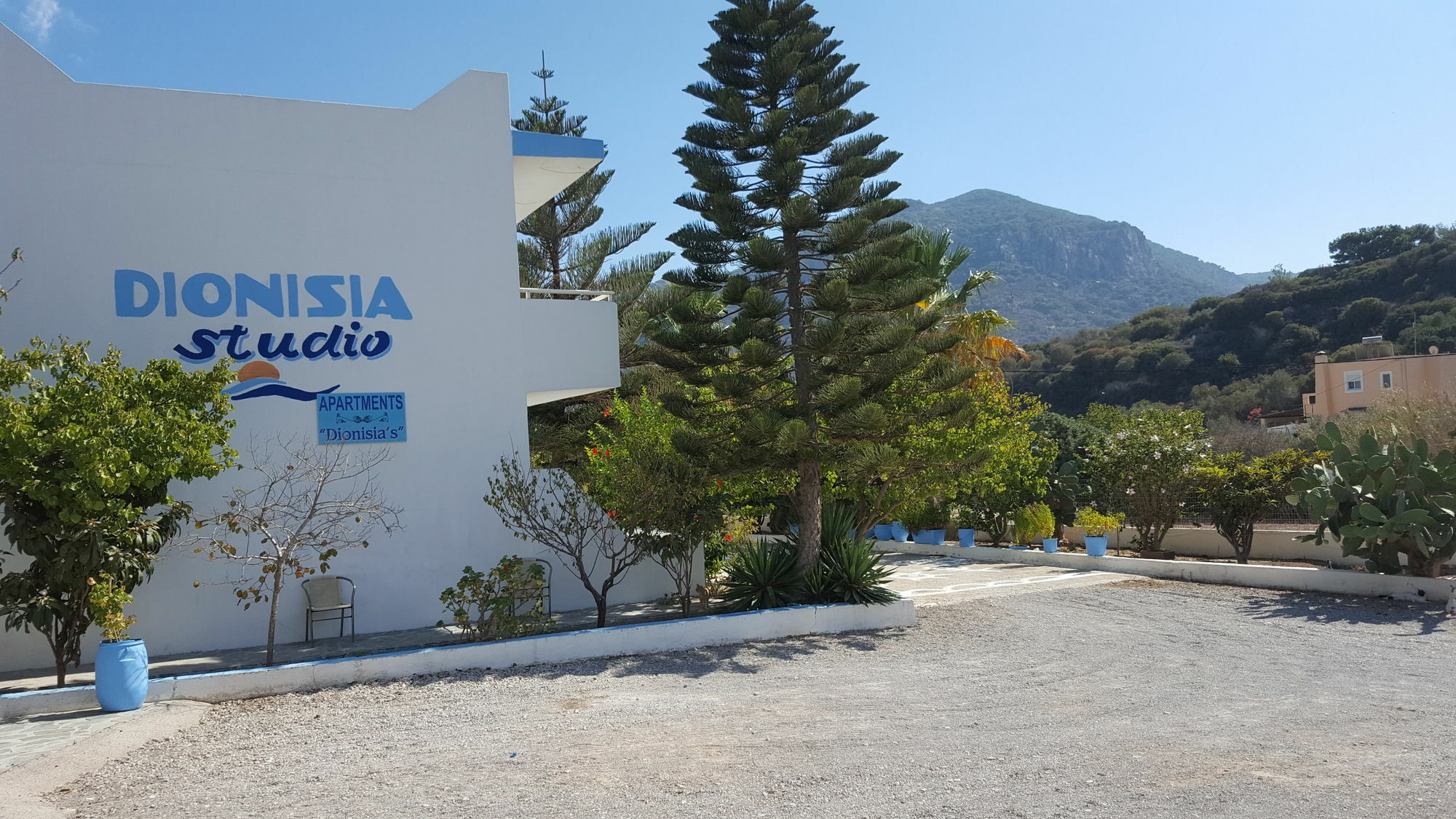 Dionysia Apartments เคฟาลอส ภายนอก รูปภาพ